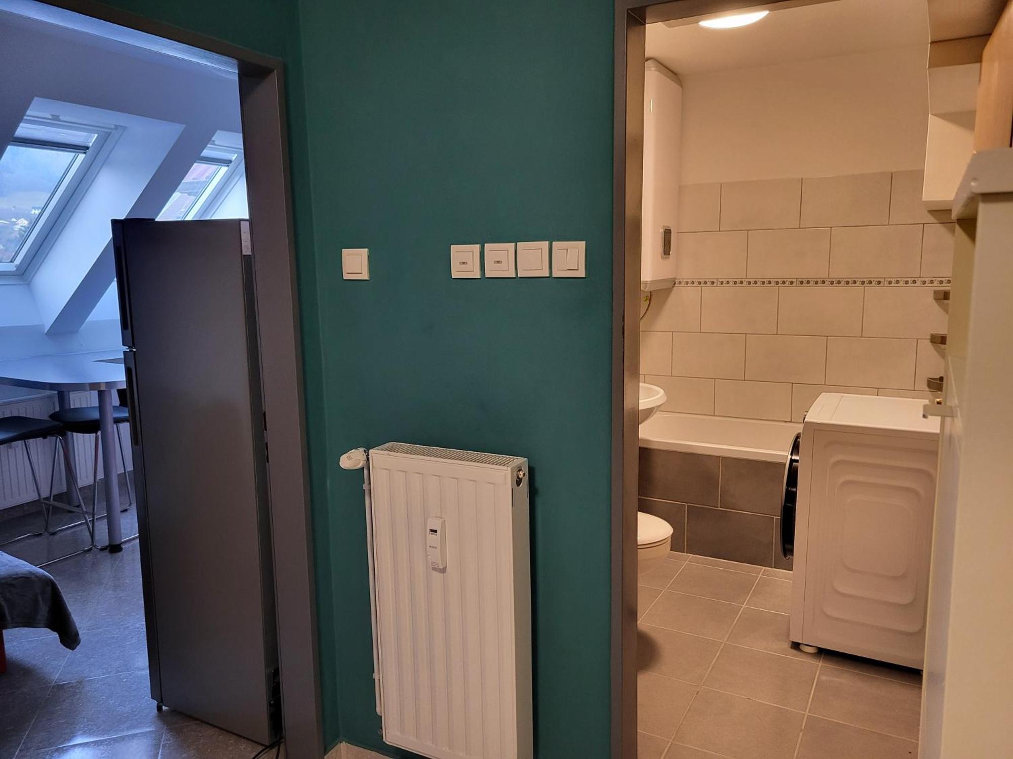 Meza10 Apartment Dravograd Bagian luar foto